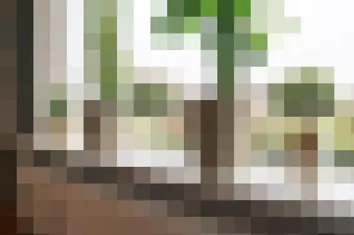 Botter 11 Zeewolde thumbnail 4