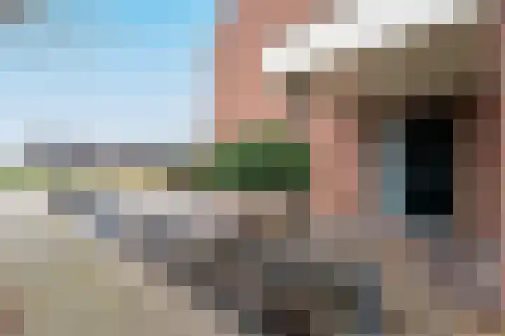Botter 11 Zeewolde thumbnail 40