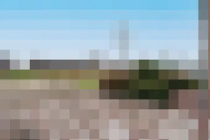 Botter 11 Zeewolde thumbnail 41