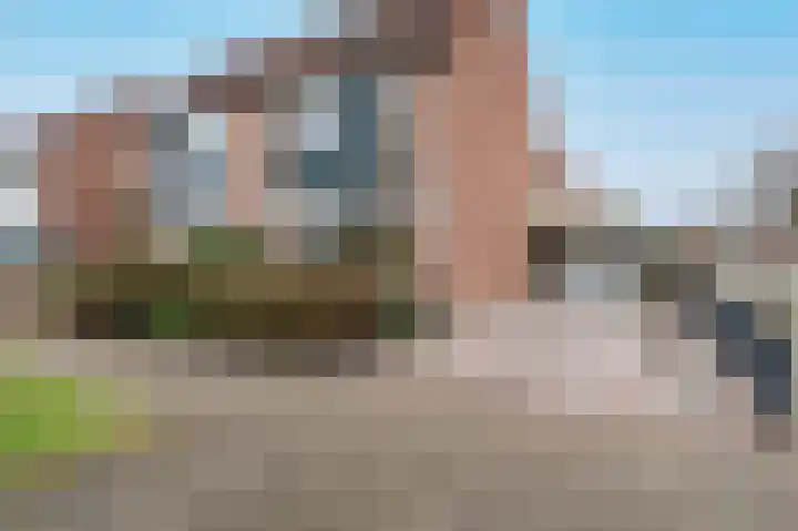 Botter 11 Zeewolde thumbnail 42