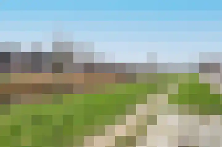 Botter 11 Zeewolde thumbnail 46