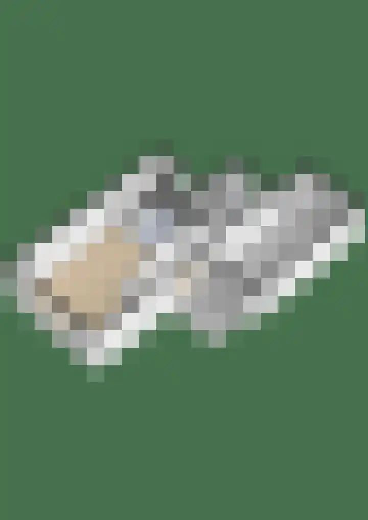 Botter 11 Zeewolde thumbnail 52