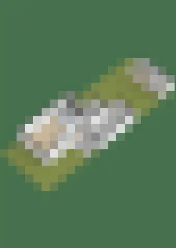 Botter 11 Zeewolde thumbnail 55