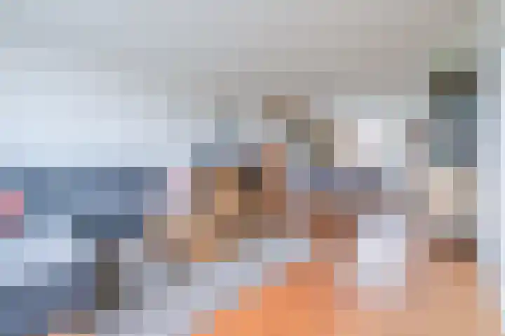 Botter 11 Zeewolde thumbnail 6