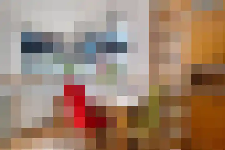 Botter 111 Hoorn thumbnail 10