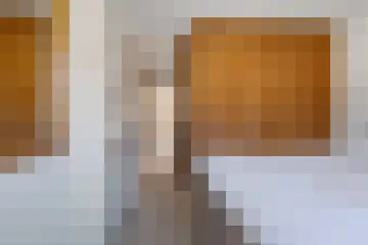 Botter 111 Hoorn thumbnail 14