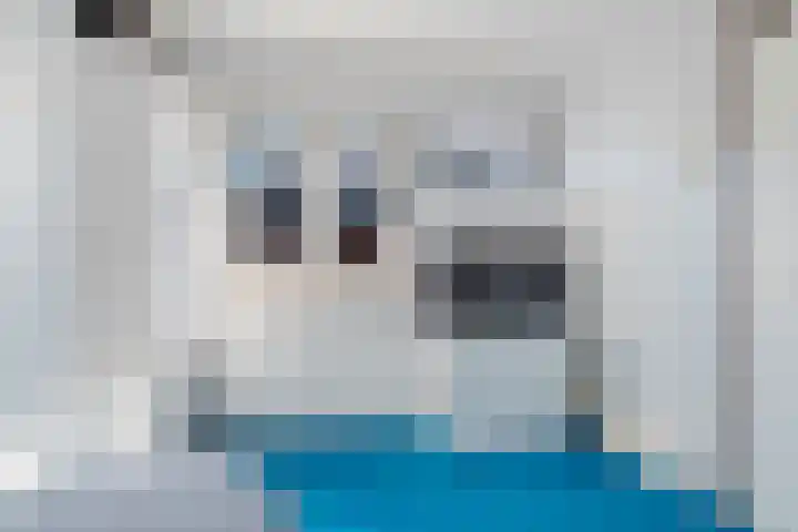 Botter 111 Hoorn thumbnail 15