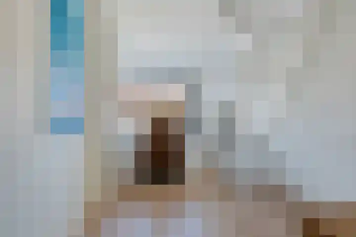 Botter 111 Hoorn thumbnail 20