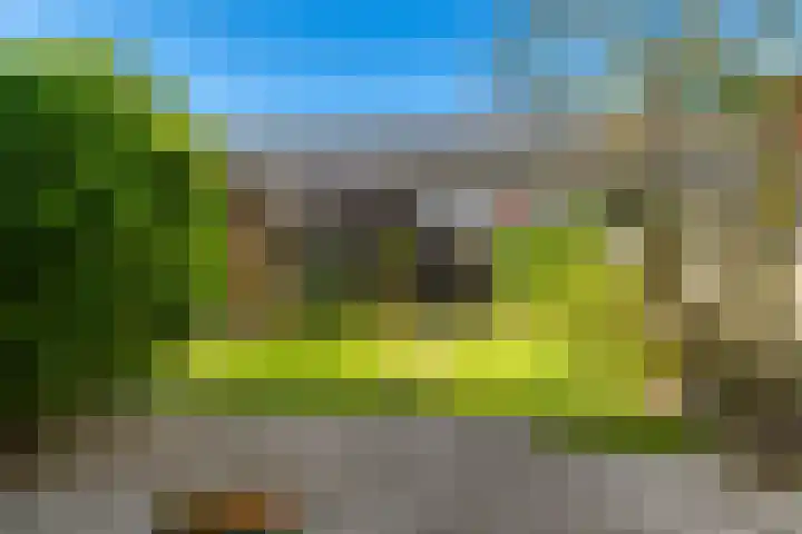Botter 111 Hoorn thumbnail 27