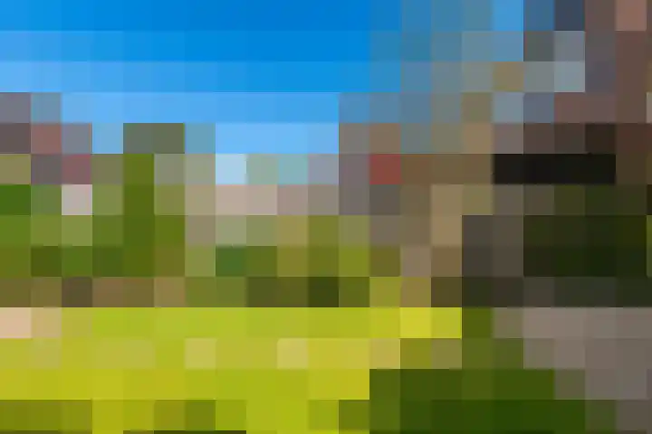 Botter 111 Hoorn thumbnail 29