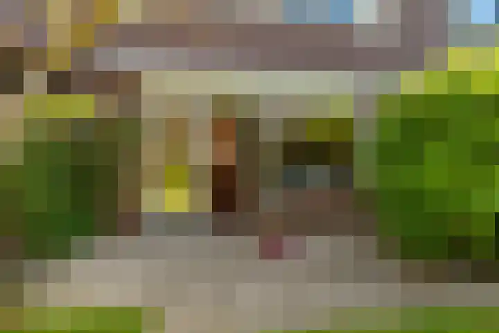 Botter 111 Hoorn thumbnail 30