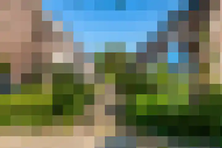 Botter 111 Hoorn thumbnail 33