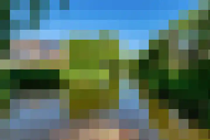 Botter 111 Hoorn thumbnail 35