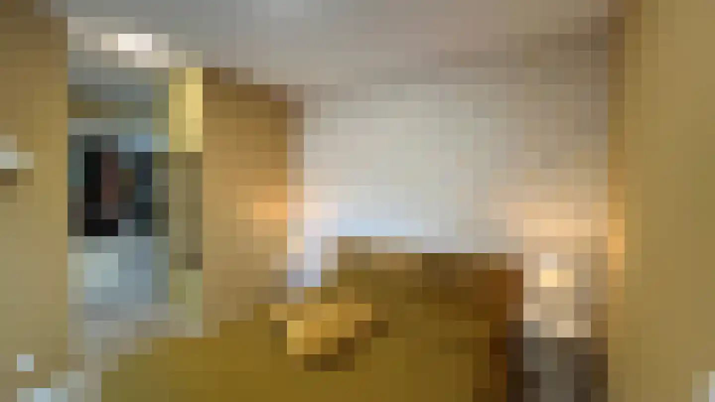 Botter 12 12 Lelystad thumbnail 10