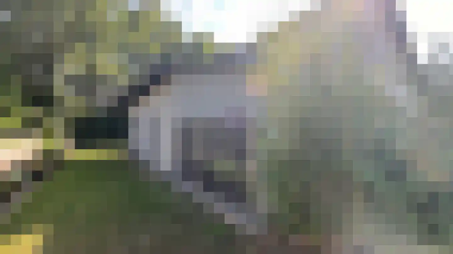 Botter 12 12 Lelystad thumbnail 18