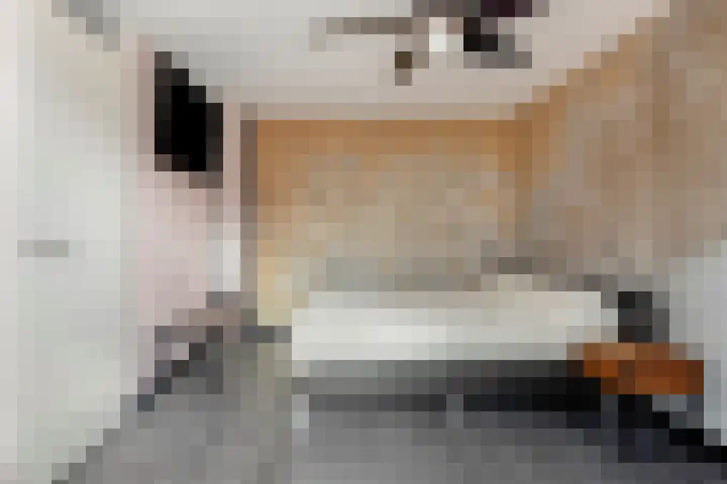 Botter 12 Maassluis thumbnail 21