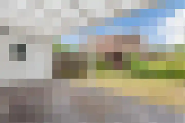 Botter 13 13 34 Lelystad thumbnail 26