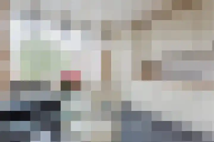Botter 13 34 Lelystad thumbnail 8