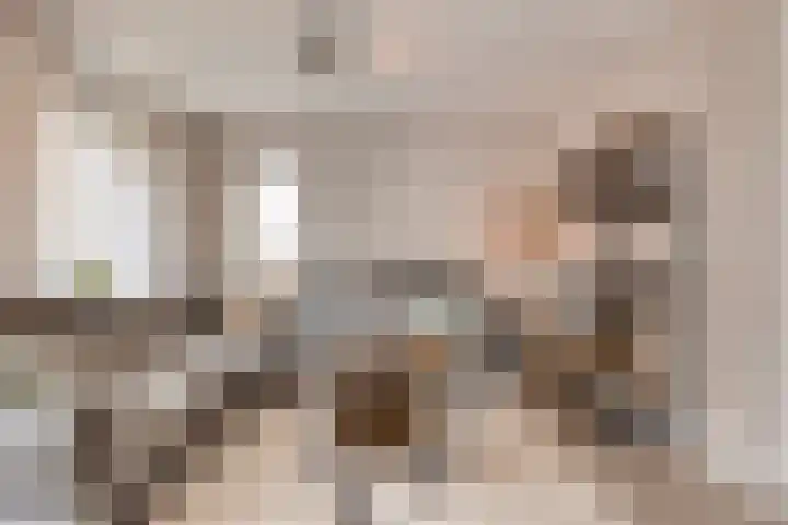 Botter 15 Arnemuiden thumbnail 16