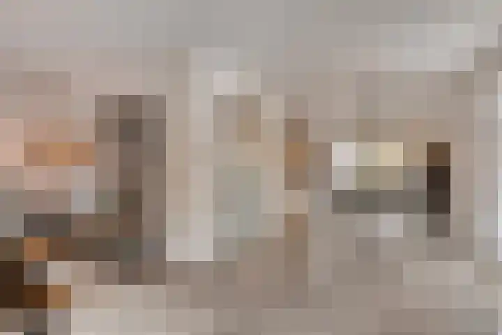Botter 15 Arnemuiden thumbnail 18