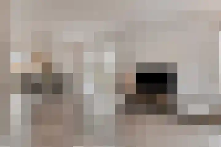 Botter 15 Arnemuiden thumbnail 19