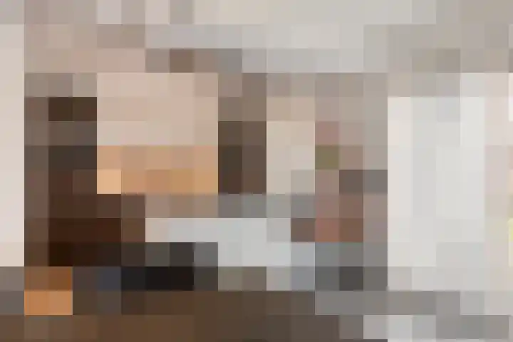 Botter 15 Arnemuiden thumbnail 27