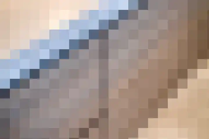 Botter 15 Arnemuiden thumbnail 31