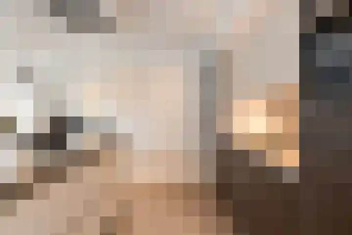 Botter 15 Arnemuiden thumbnail 32