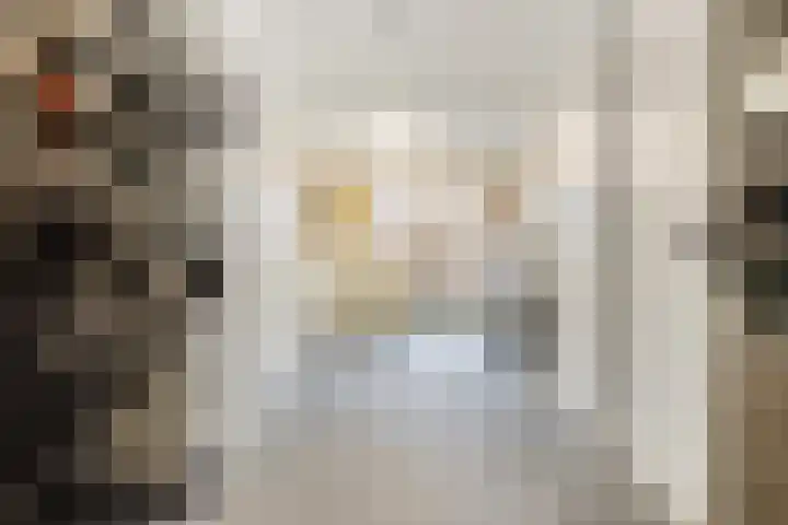 Botter 15 Arnemuiden thumbnail 37