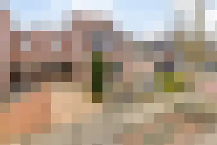 Botter 15 Arnemuiden thumbnail 4