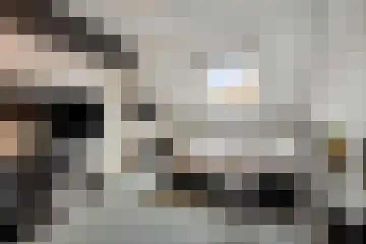 Botter 15 Arnemuiden thumbnail 42