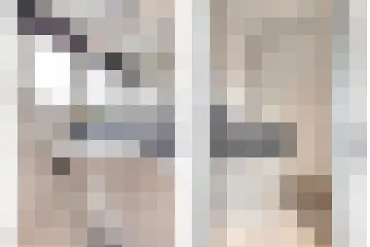 Botter 15 Arnemuiden thumbnail 47