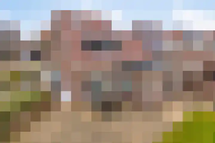 Botter 15 Arnemuiden thumbnail 50