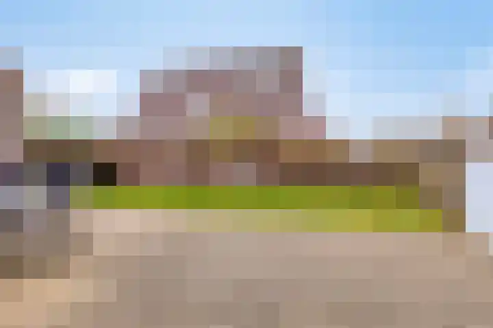Botter 15 Arnemuiden thumbnail 54