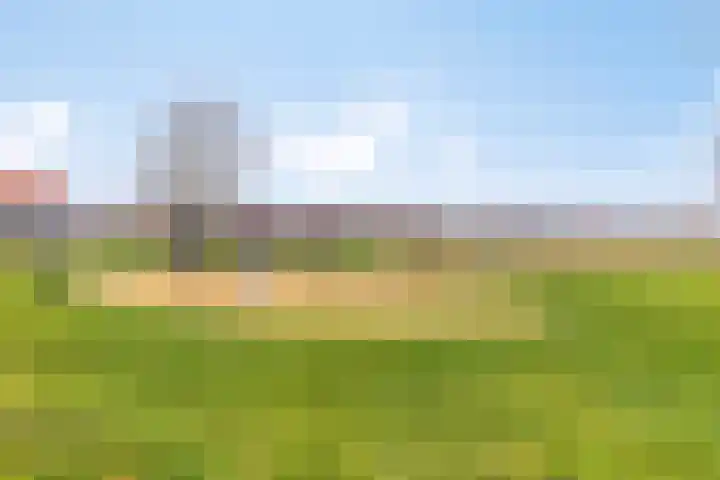 Botter 15 Arnemuiden thumbnail 61