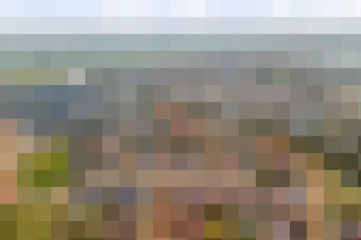 Botter 15 Arnemuiden thumbnail 64
