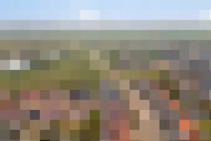 Botter 15 Arnemuiden thumbnail 65