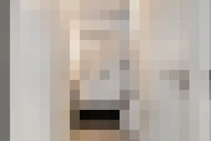 Botter 15 Arnemuiden thumbnail 9