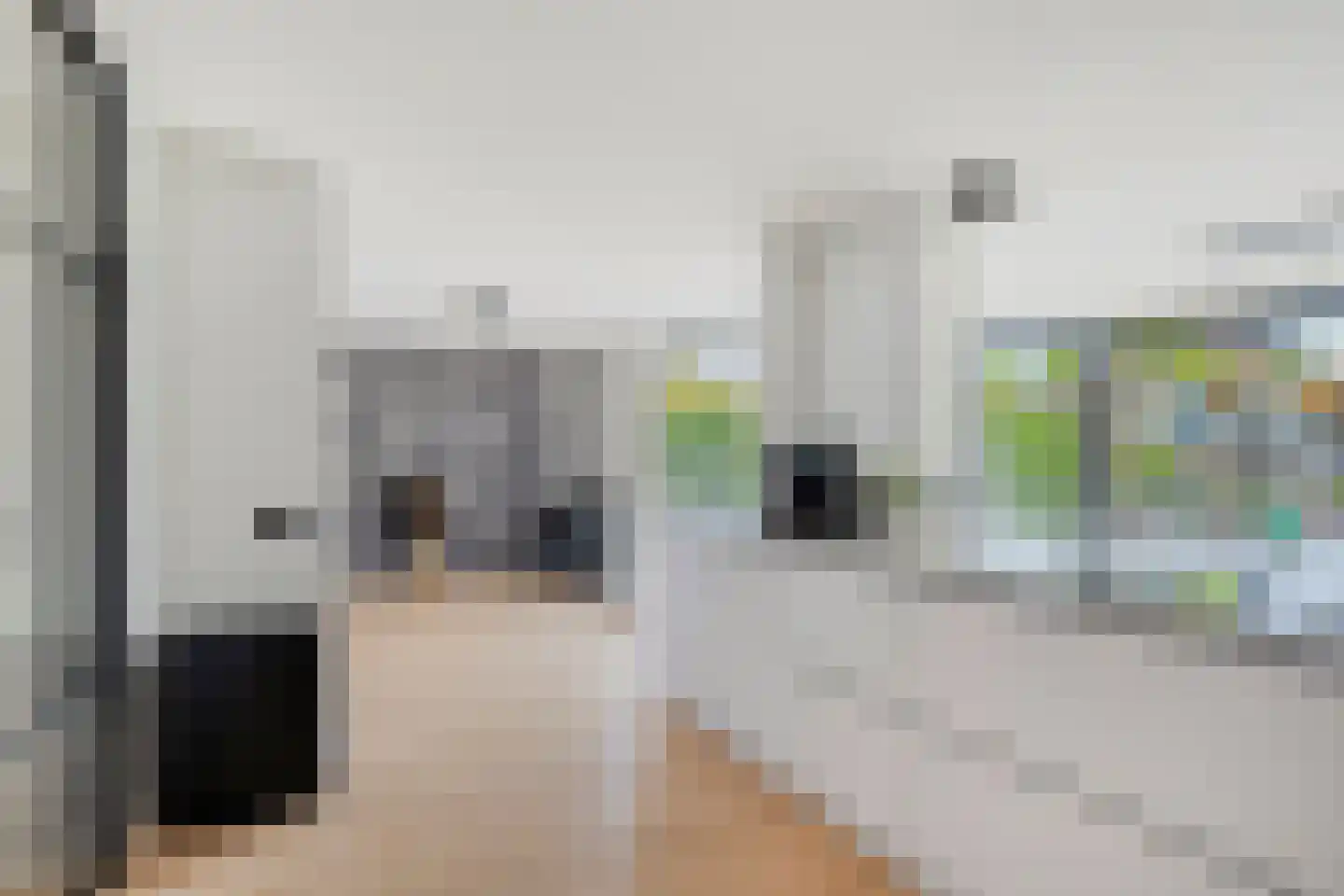 Botter 15 Bergen op Zoom thumbnail 22