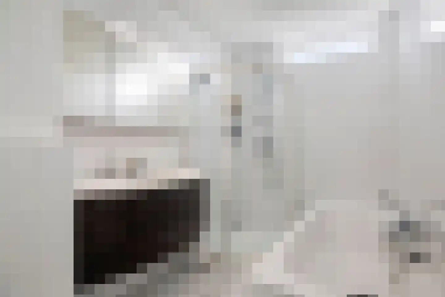Botter 15 Bergen op Zoom thumbnail 29