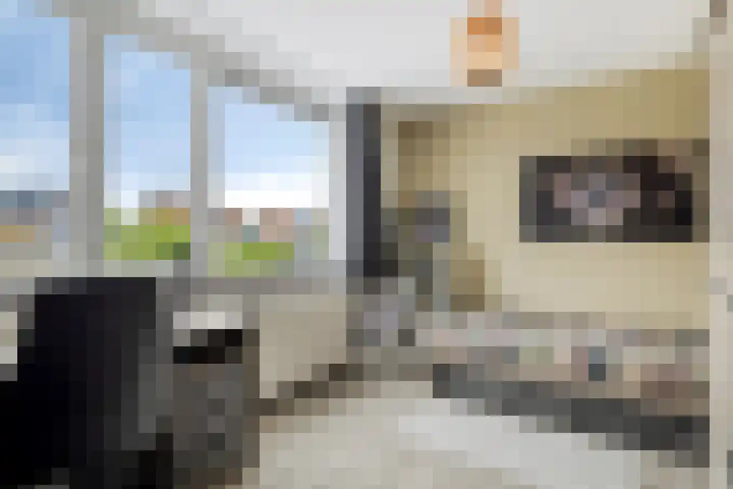 Botter 15 Bergen op Zoom thumbnail 32