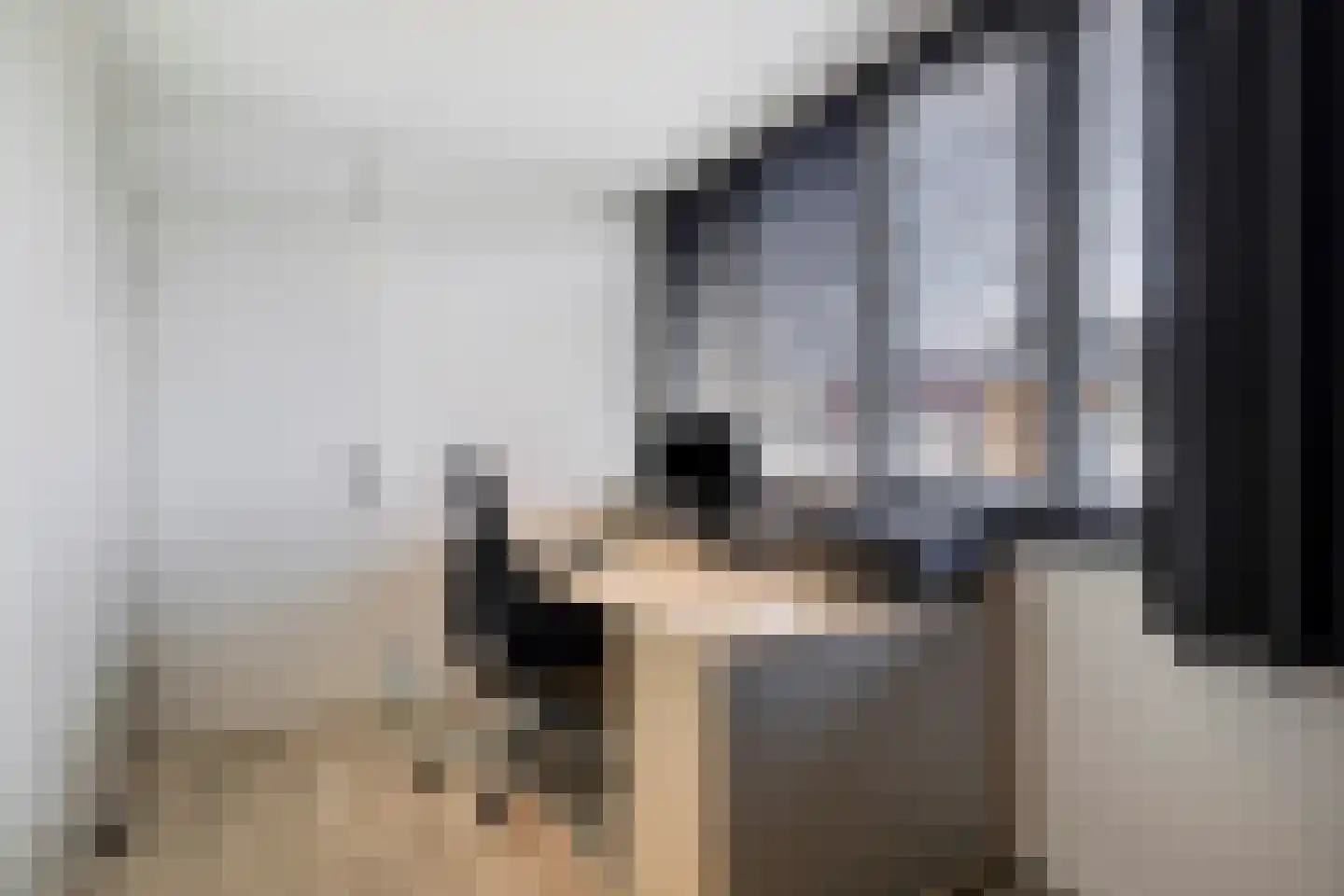 Botter 15 Bergen op Zoom thumbnail 35