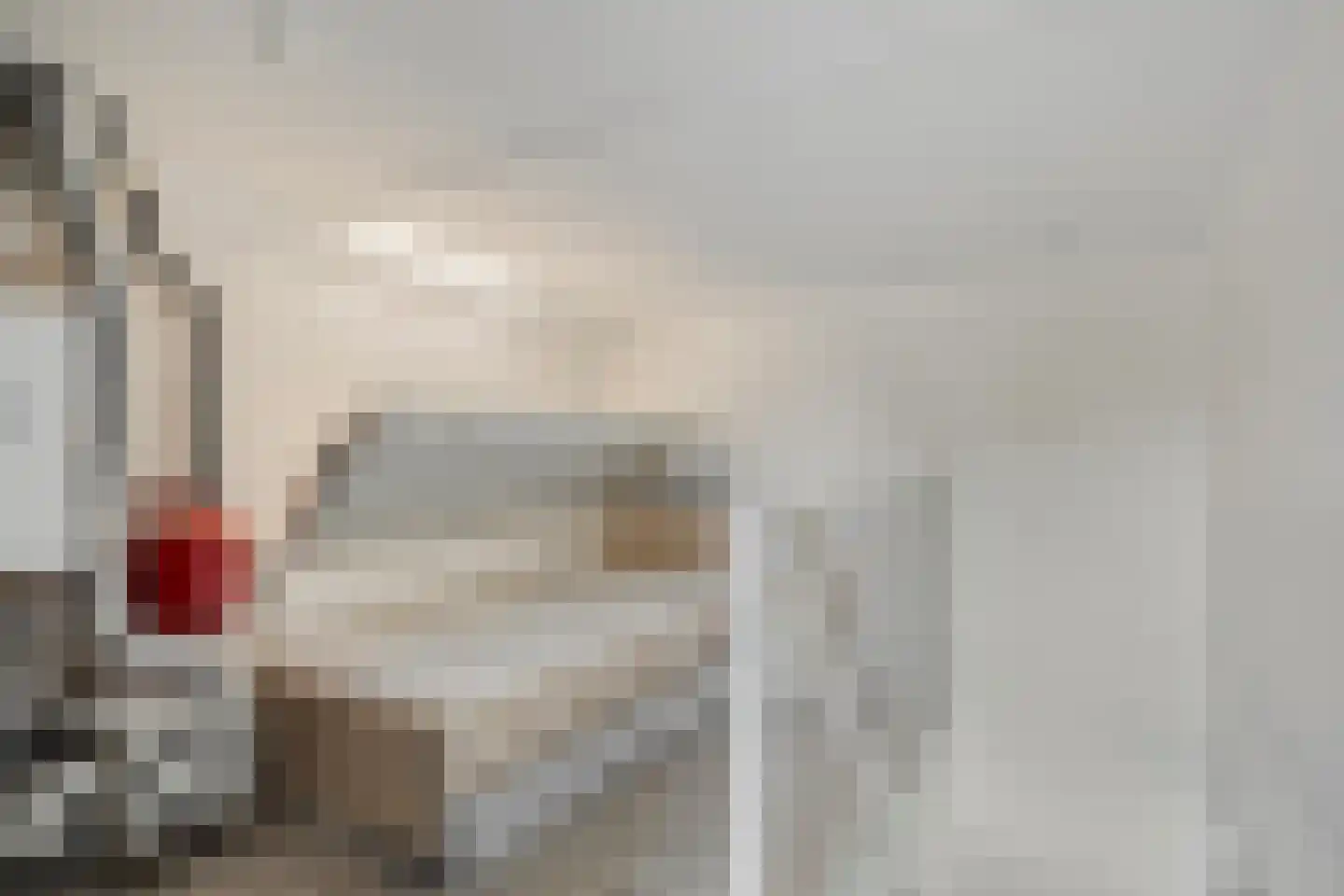 Botter 15 Bergen op Zoom thumbnail 36