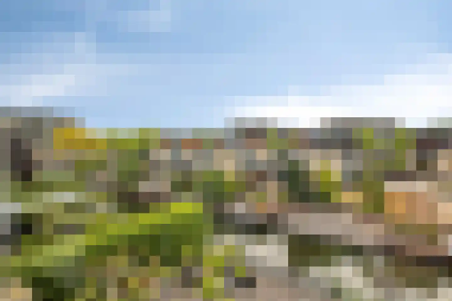Botter 15 Bergen op Zoom thumbnail 40
