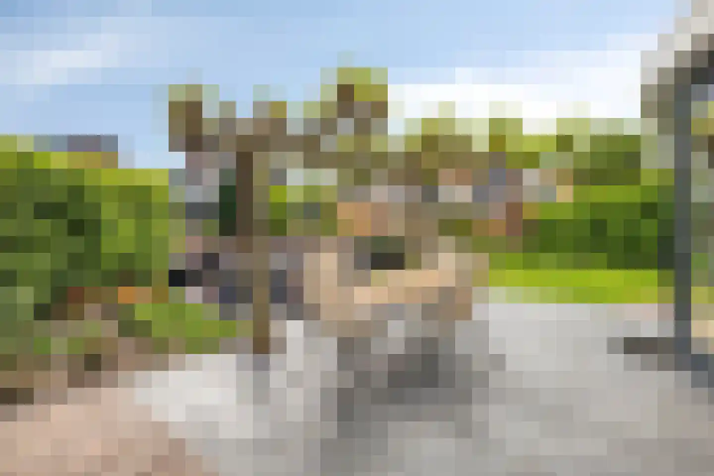 Botter 15 Bergen op Zoom thumbnail 41