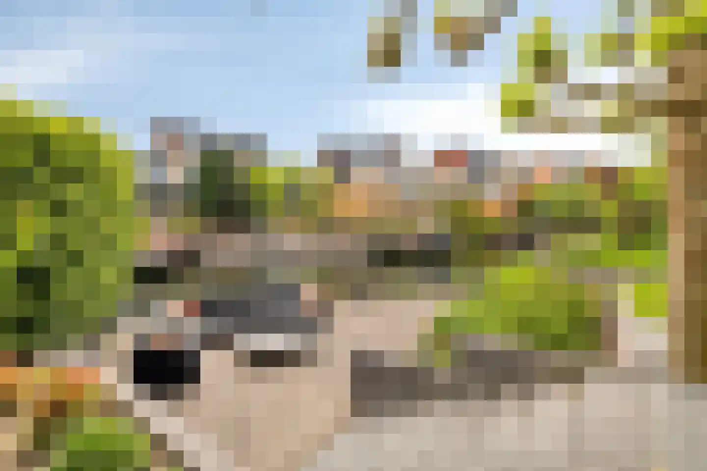 Botter 15 Bergen op Zoom thumbnail 46