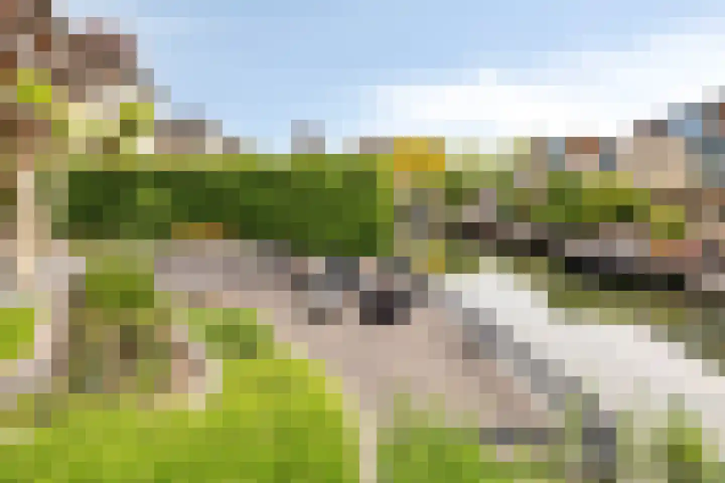 Botter 15 Bergen op Zoom thumbnail 47