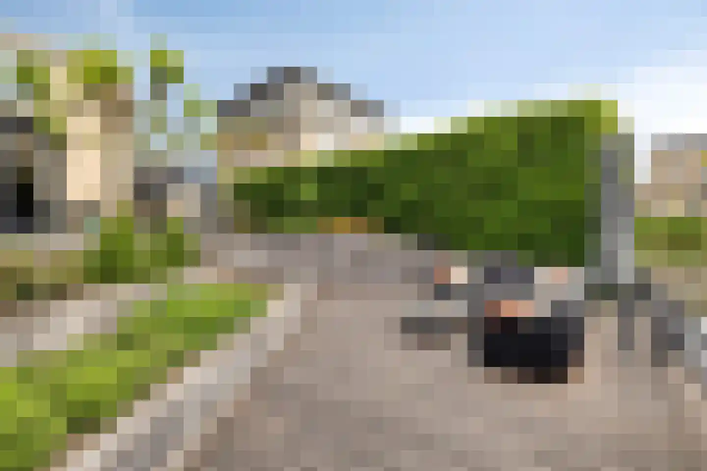 Botter 15 Bergen op Zoom thumbnail 51