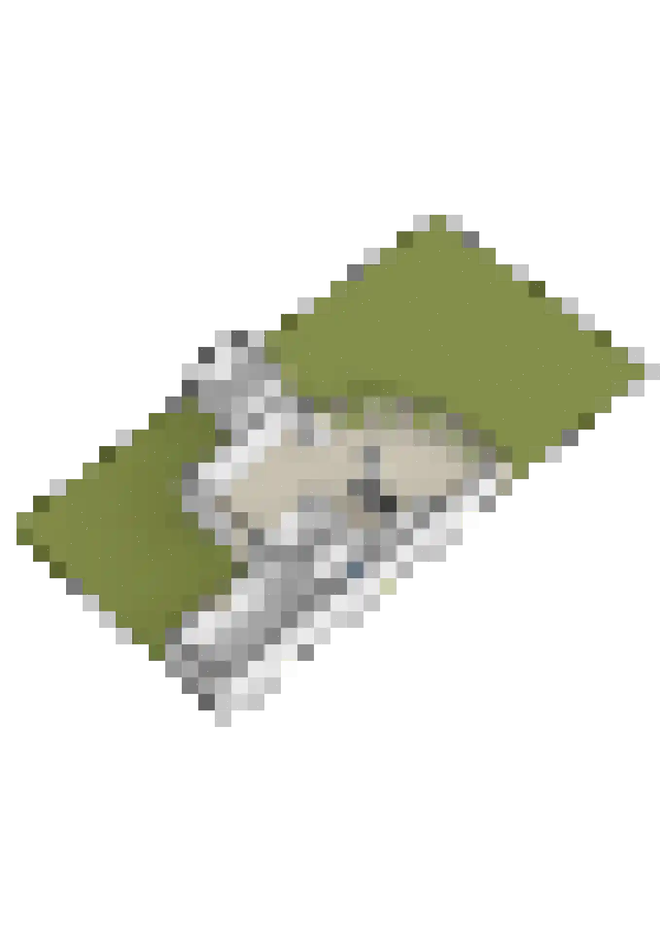 Botter 15 Bergen op Zoom thumbnail 66