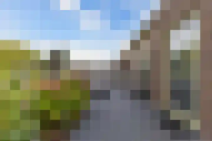 Botter 16 Heerenveen thumbnail 36